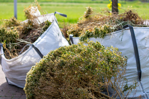 Best Construction Debris Removal  in Radium Springs, NM